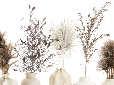 Kleine minimalistische Trockenblumensträuße als Zweig-Vasen-Dekor 3D Modell