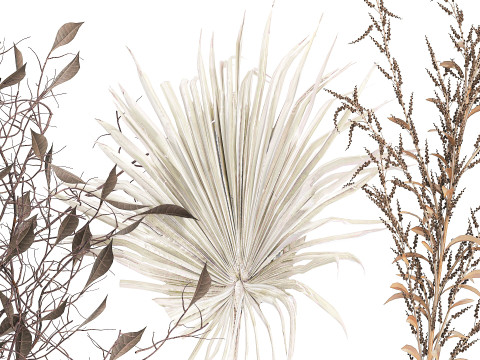 Kleine minimalistische Trockenblumensträuße als Zweig-Vasen-Dekor 3D Modell