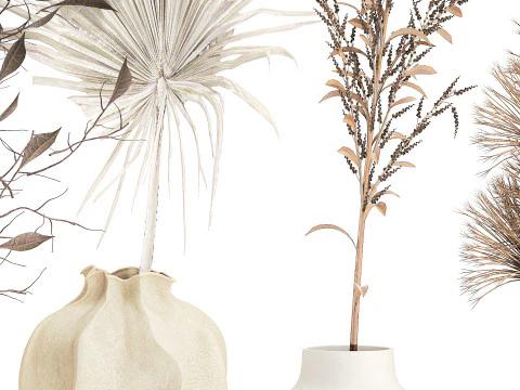 Kleine minimalistische droogbloemboeketten als decor van een takvaas 3D Model