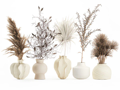 Kleine minimalistische droogbloemboeketten als decor van een takvaas 3D Model