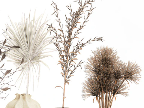 Kleine minimalistische droogbloemboeketten als decor van een takvaas 3D Model