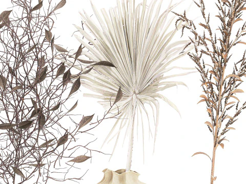 Kleine minimalistische droogbloemboeketten als decor van een takvaas 3D Model