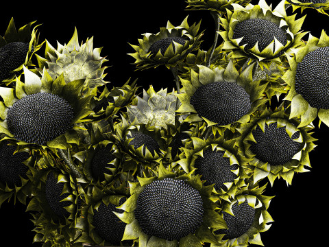 Buket realistis bunga matahari hijau dekorasi vas keramik baru Model 3D