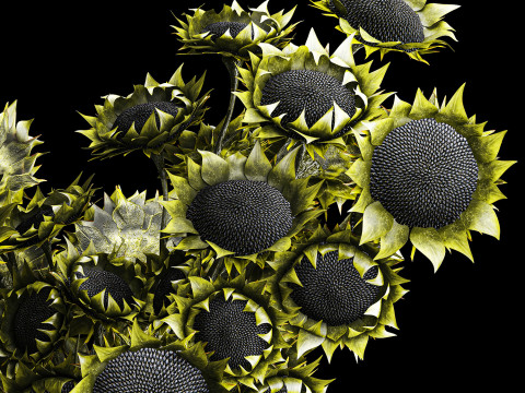 Buket realistis bunga matahari hijau dekorasi vas keramik baru Model 3D