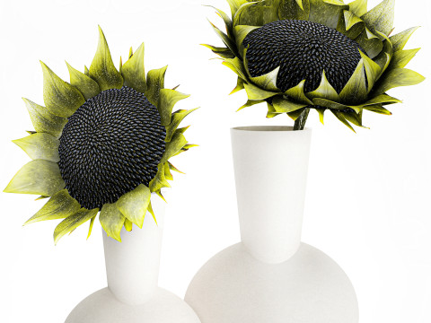 Dekorasi vas bunga matahari hijau buket minimalis baru Model 3D