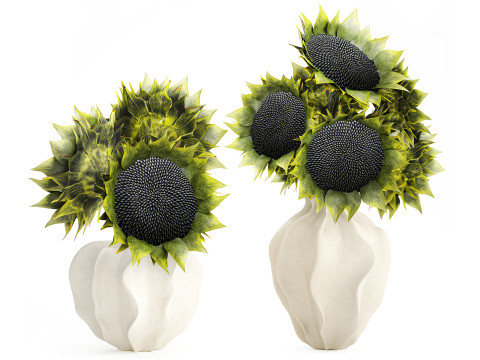 Mooi boeket groene zonnebloemen keramische vaas decor nieuw 3D Model