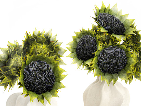 सुंदर गुलदस्ता हरे सूरजमुखी सिरेमिक फूलदान सजावट नई 3D मॉडल