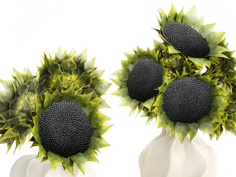 Lindo buqu&ecirc; de girass&oacute;is verdes decora&ccedil;&atilde;o de vaso de cer&acirc;mica novo Modelo 3D