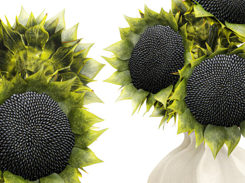 सुंदर गुलदस्ता हरे सूरजमुखी सिरेमिक फूलदान सजावट नई 3D मॉडल