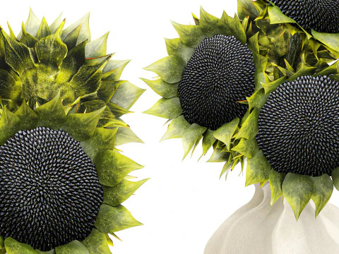 Lindo buqu&ecirc; de girass&oacute;is verdes decora&ccedil;&atilde;o de vaso de cer&acirc;mica novo Modelo 3D