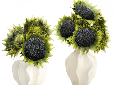 Lindo buqu&ecirc; de girass&oacute;is verdes decora&ccedil;&atilde;o de vaso de cer&acirc;mica novo Modelo 3D