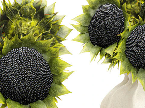 Lindo buqu&ecirc; de girass&oacute;is verdes decora&ccedil;&atilde;o de vaso de cer&acirc;mica novo Modelo 3D