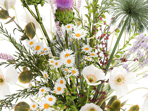 Beautiful bouquet wildflowers poppy chamomile vase 3D Model