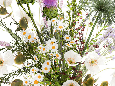 Lindo buqu&ecirc; de flores silvestres, papoula, vaso de camomila Modelo 3D