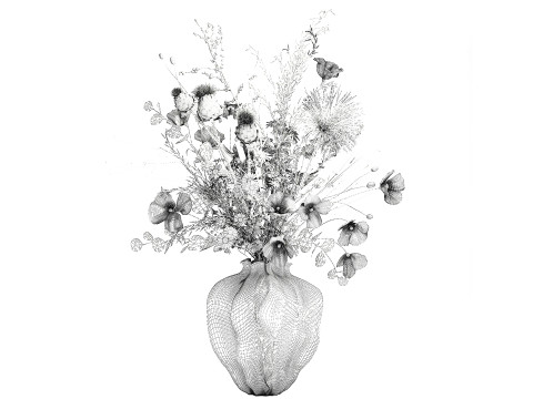 Beautiful bouquet wildflowers poppy chamomile vase 3D Model