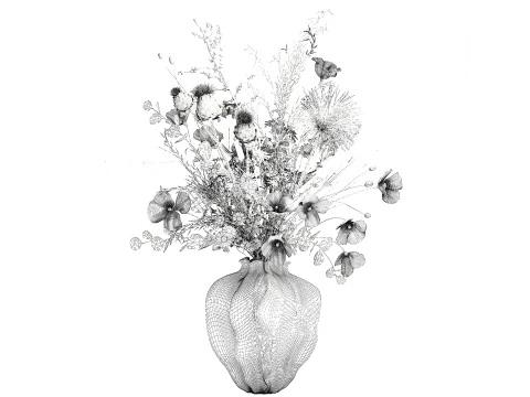 Lindo buqu&ecirc; de flores silvestres, papoula, vaso de camomila Modelo 3D