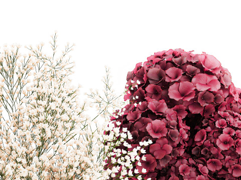 Collection bouquets lilac gypsophila hydrangea set vase decor 3D Model