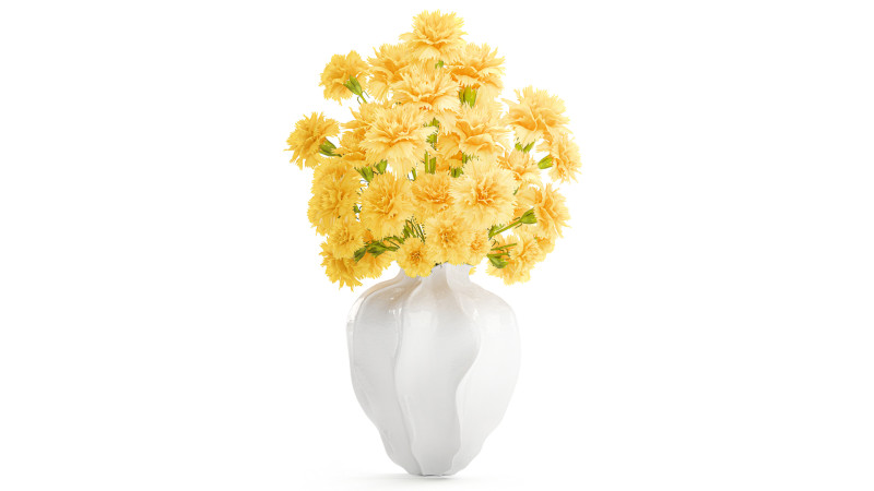 Realistic bouquet yellow flowers carnation vase decor new 3D Model .c4d .max .obj .3ds .fbx .stl .blend 