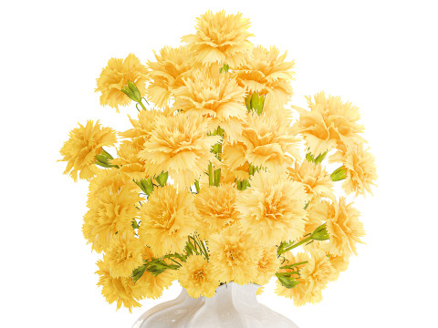 Realistic bouquet yellow flowers carnation vase decor new 3D Model