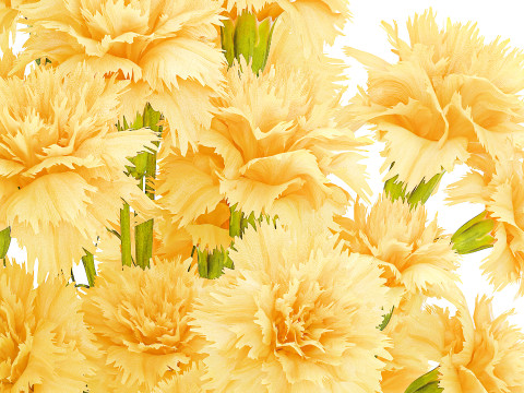 Realistic bouquet yellow flowers carnation vase decor new 3D Model
