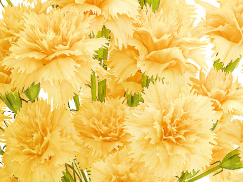 Realistic bouquet yellow flowers carnation vase decor new 3D Model