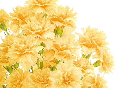 Realistic bouquet yellow flowers carnation vase decor new 3D Model