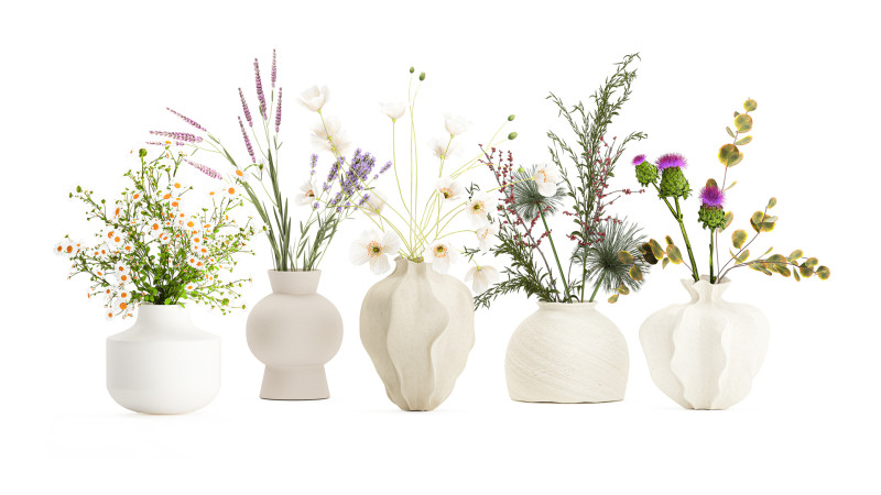 Collection small bouquets poppy lavender flowers vase set 3D Model .c4d .max .obj .3ds .fbx .stl .blend 