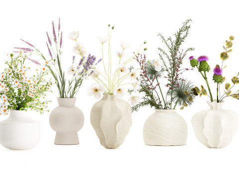 Collection small bouquets poppy lavender flowers vase set 3D Model