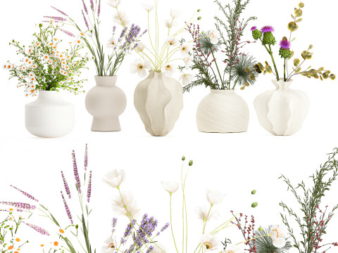 Collection small bouquets poppy lavender flowers vase set 3D Model