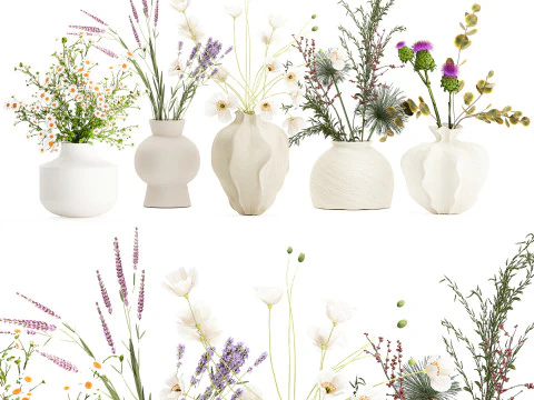 Collection small bouquets poppy lavender flowers vase set 3D Model