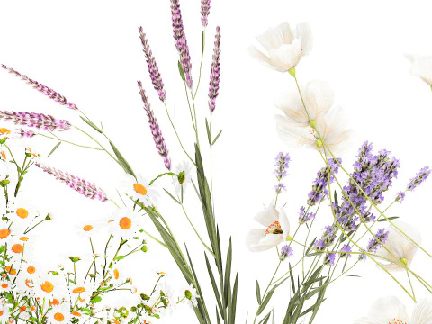 Collection small bouquets poppy lavender flowers vase set 3D Model
