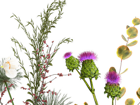 Collection small bouquets poppy lavender flowers vase set 3D Model