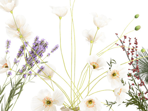 Collection small bouquets poppy lavender flowers vase set 3D Model