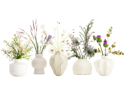 Collection small bouquets poppy lavender flowers vase set 3D Model