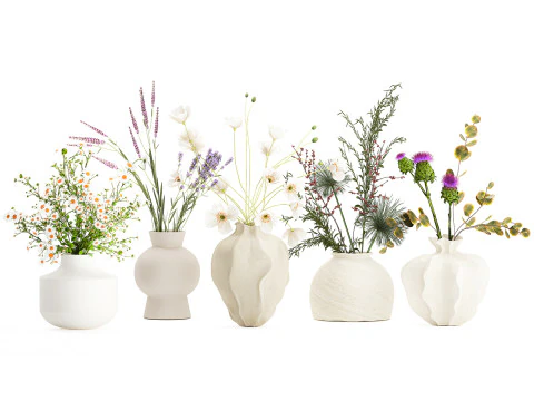 Collection small bouquets poppy lavender flowers vase set 3D Model