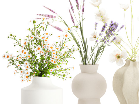 Collection small bouquets poppy lavender flowers vase set 3D Model
