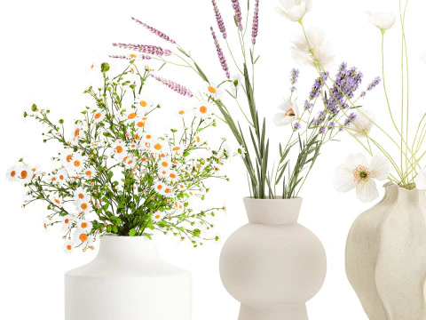 Collection small bouquets poppy lavender flowers vase set 3D Model