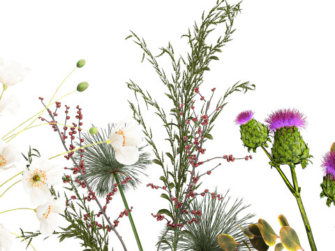 Collection small bouquets poppy lavender flowers vase set 3D Model