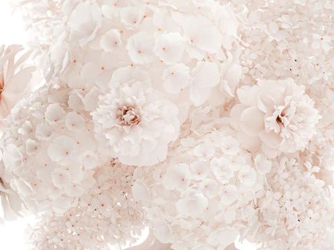 Beautiful Small Bouquet White Flowers Hydrangea vase decor 3D Model