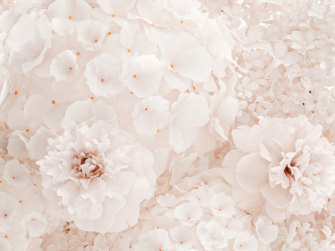 Beautiful Small Bouquet White Flowers Hydrangea vase decor 3D Model