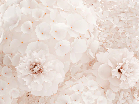 Beautiful Small Bouquet White Flowers Hydrangea vase decor 3D Model