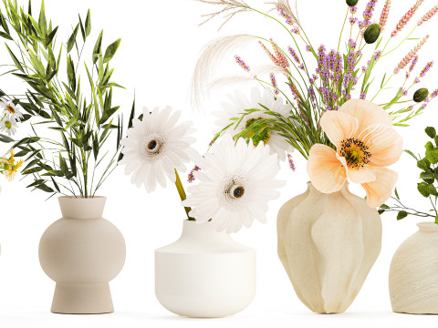 Коллекция небольших букетов мака, ромашки, лаванды. 3D Модель