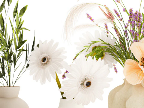 Collezione piccoli mazzi di papavero camomilla lavanda Modello 3D