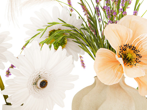 Коллекция небольших букетов мака, ромашки, лаванды. 3D Модель