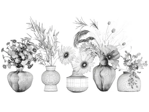 Collezione piccoli mazzi di papavero camomilla lavanda Modello 3D