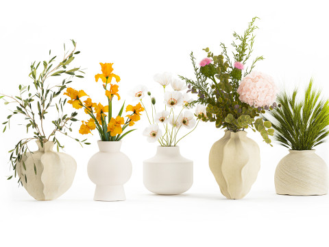 Collection small bouquets poppy olive Iris flowers vase set 3D Model