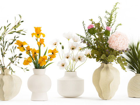 Koleksi karangan bunga kecil set vas bunga poppy zaitun Iris Model 3D