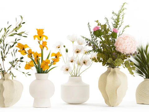 Collezione piccoli mazzi di fiori di papavero oliva Iris set vaso Modello 3D