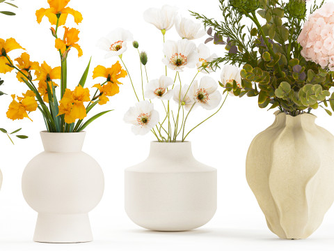 Koleksi karangan bunga kecil set vas bunga poppy zaitun Iris Model 3D