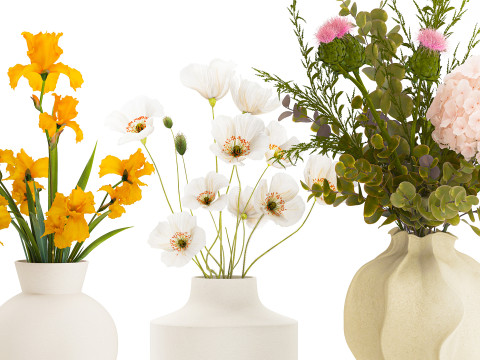 Koleksi karangan bunga kecil set vas bunga poppy zaitun Iris Model 3D